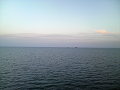 P1000027_thumb.png