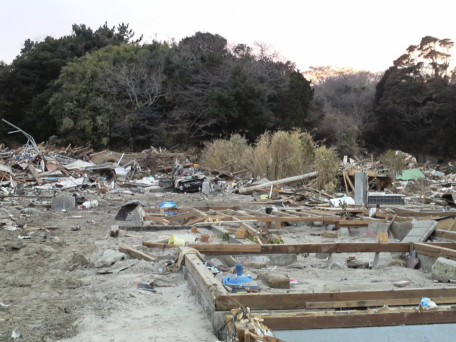 P1000084.JPG
